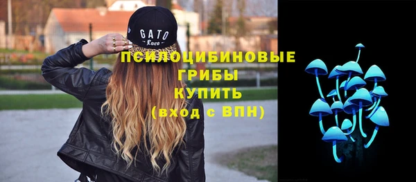 прущий лед Алексин