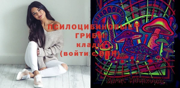 spice Алзамай