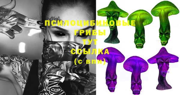 стафф Алексеевка