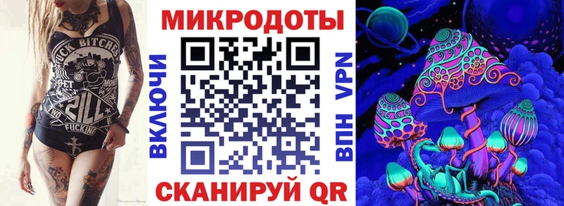 Галлюциногенные грибы Psilocybine cubensis  Нижний Тагил 