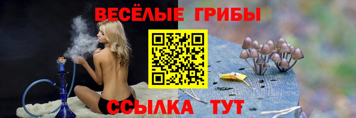 где купить   Псилоцибиновые грибы мицелий  Вход с VPN  Нижний Тагил 